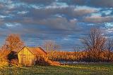 Leaning Barn_00491